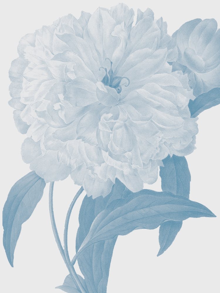Flower No.3