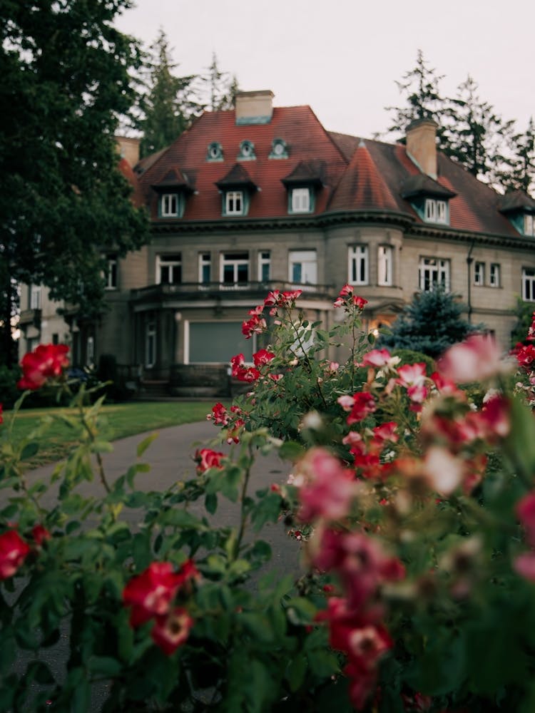 Pittock Mansion Blooms