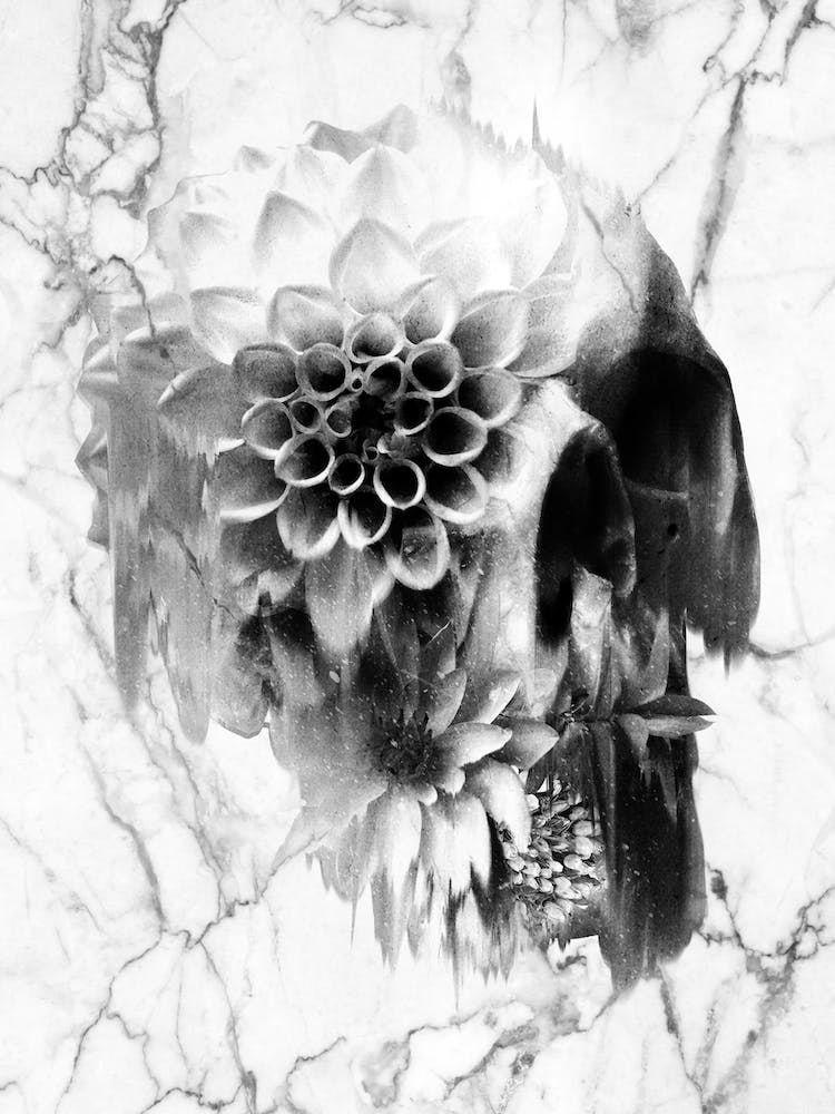 Decay Skull Marble