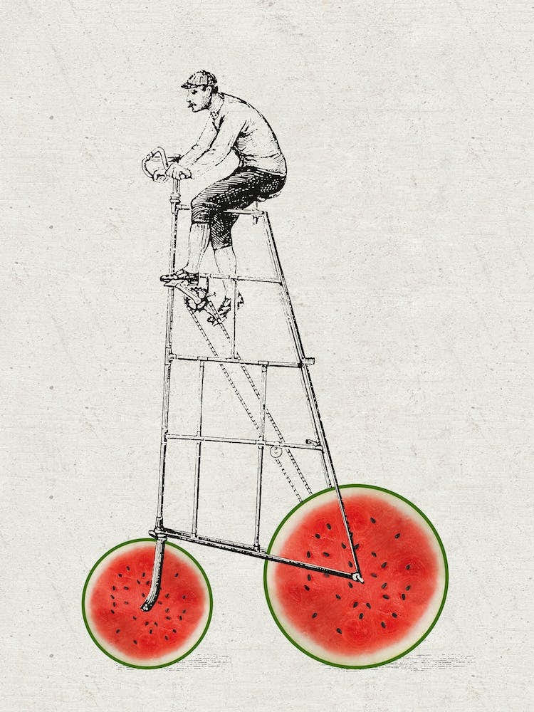 Melon Bike