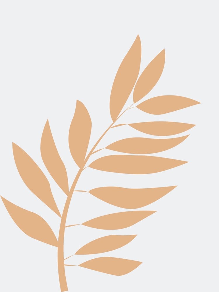 Feuilles Beiges