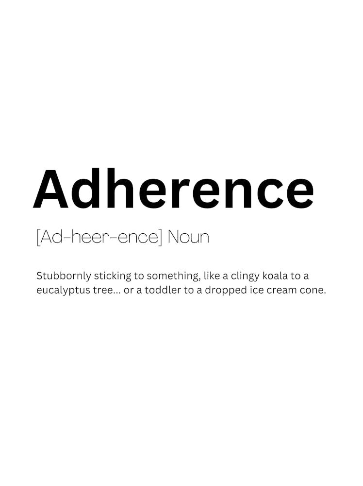 Adherence Definition Meaning 1