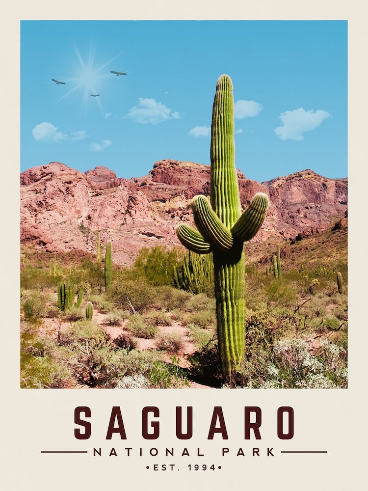 Saguaro Minimalist Travel Poster