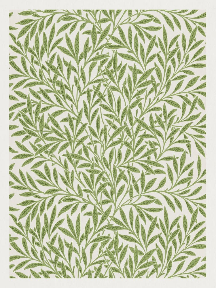 Willow, William Morris