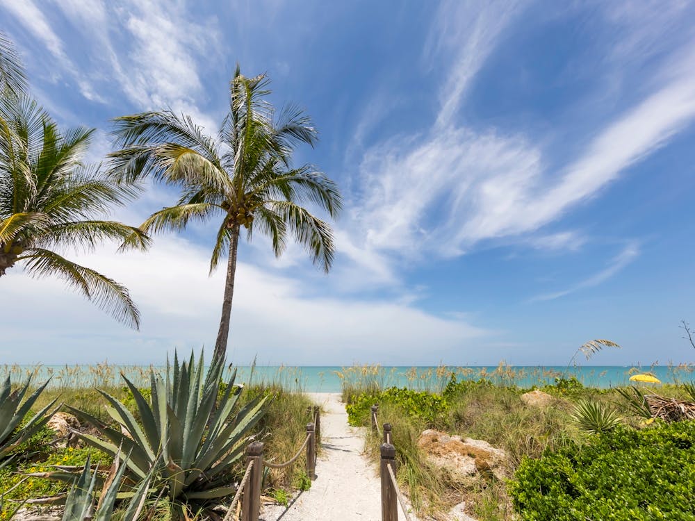 Chemin vers une plage magnifique