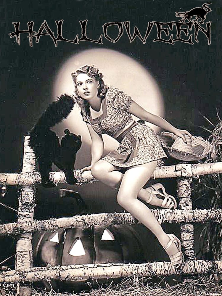 Fille Pin-Up Posant sur une Clôture avec un Chat Noir Scène de Nuit