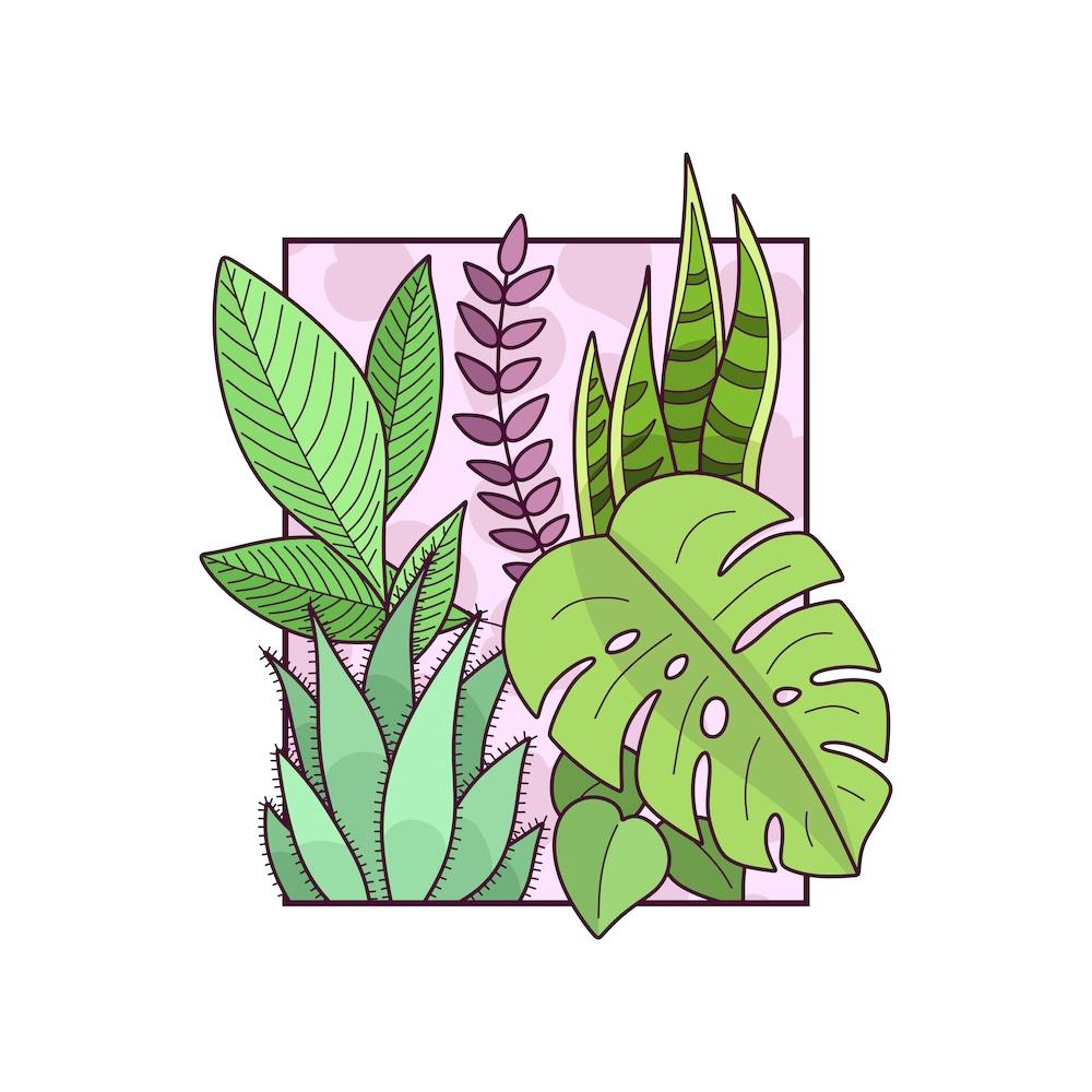 Framed Plants Square