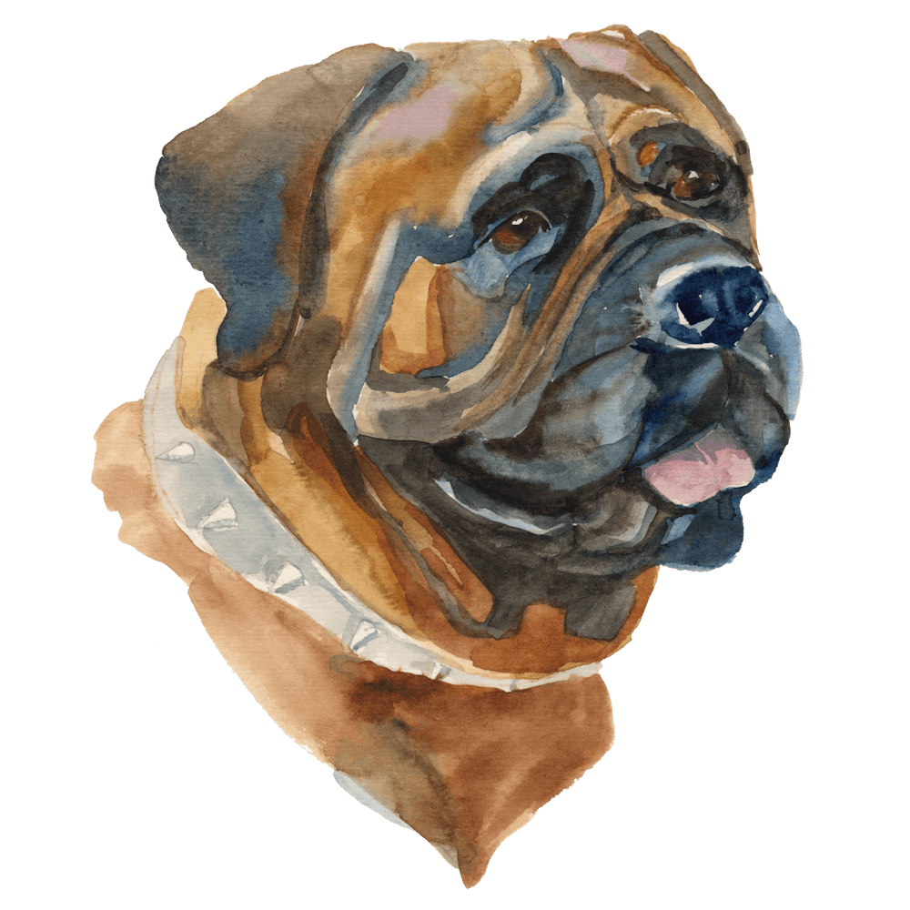 The Japanese Mastiff