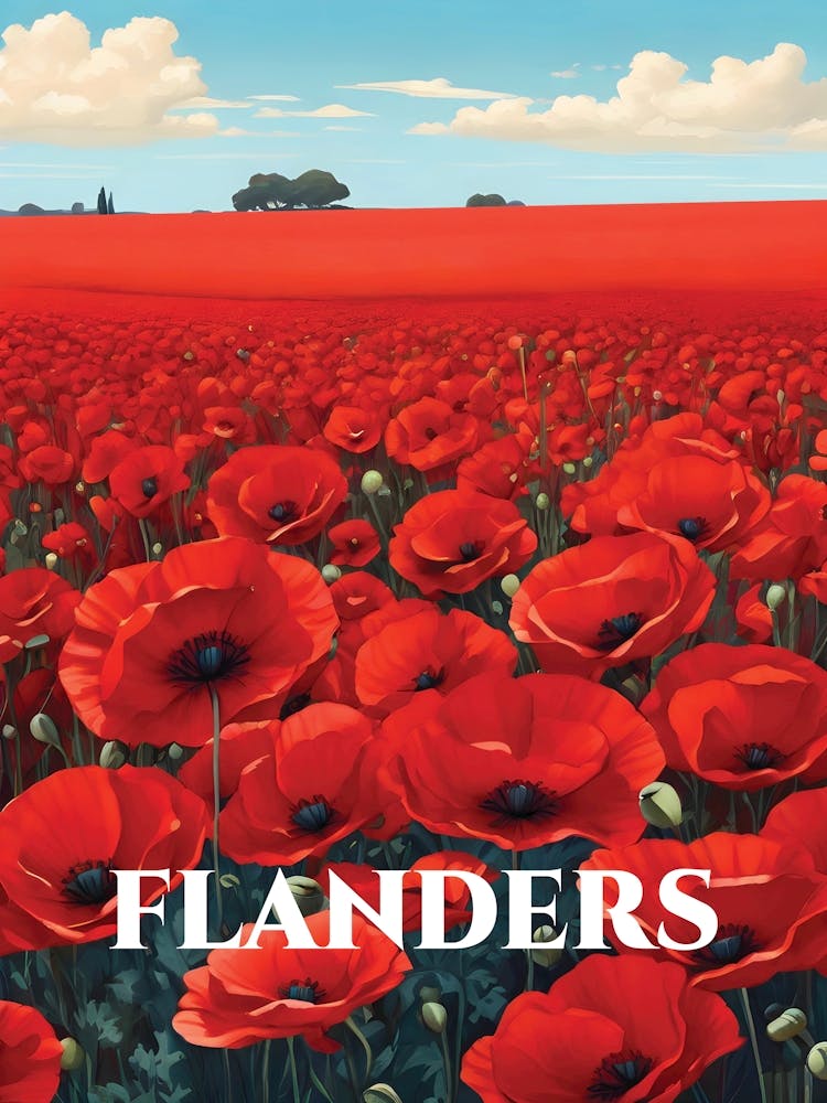 Flanders Poppy Fields