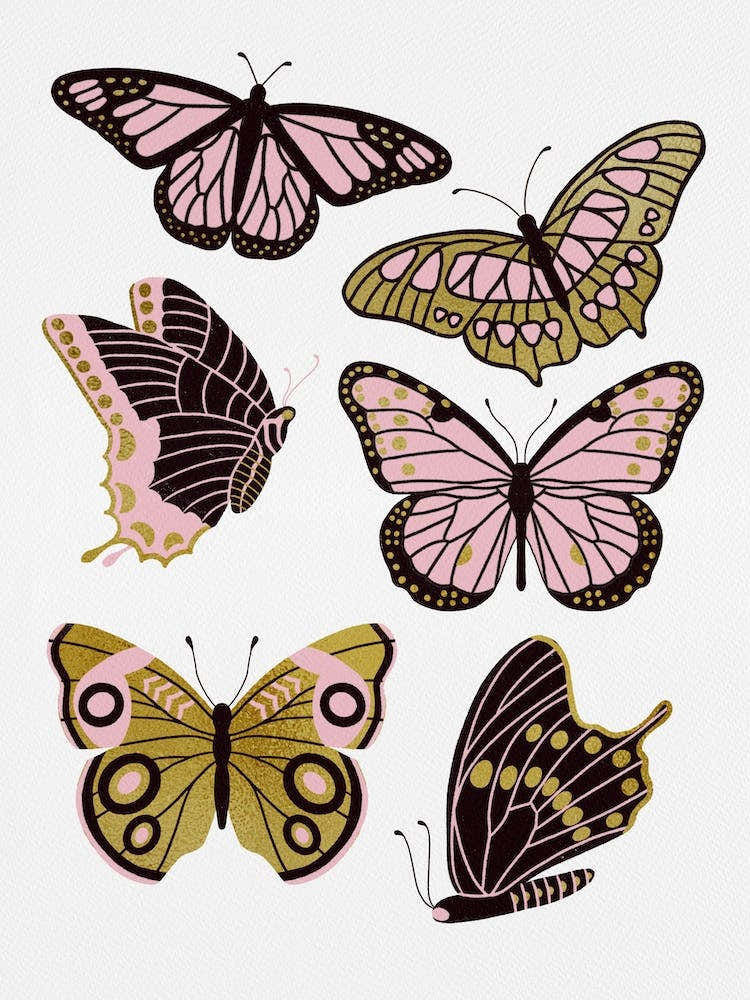 Texas Butterflies   Blush And Gold