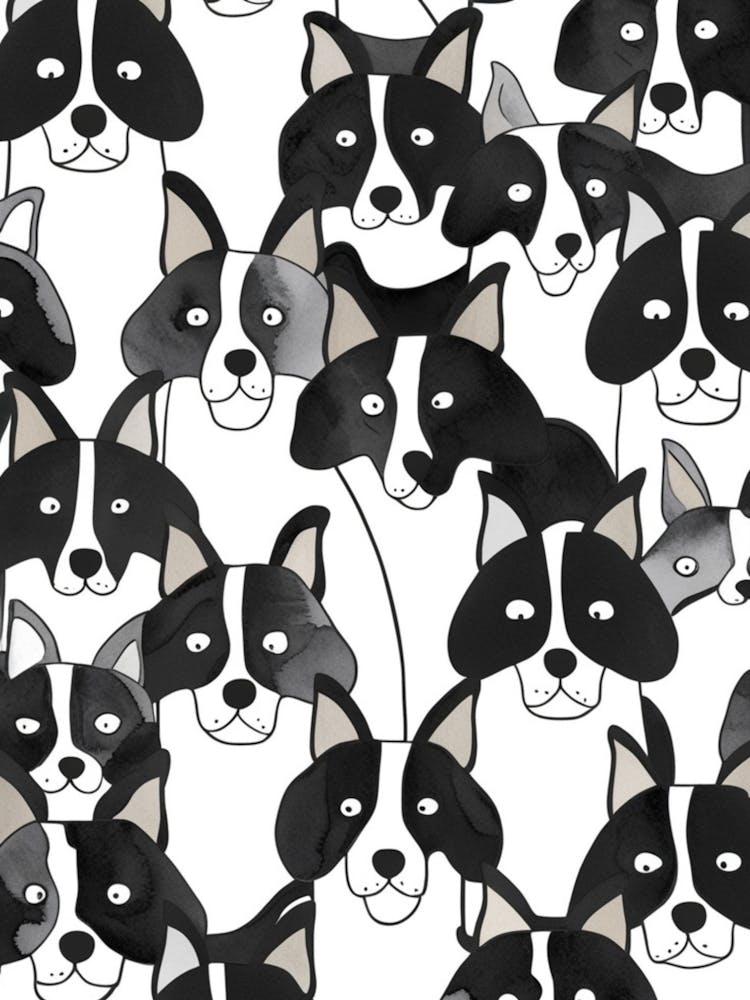 Black And White Dogs 5