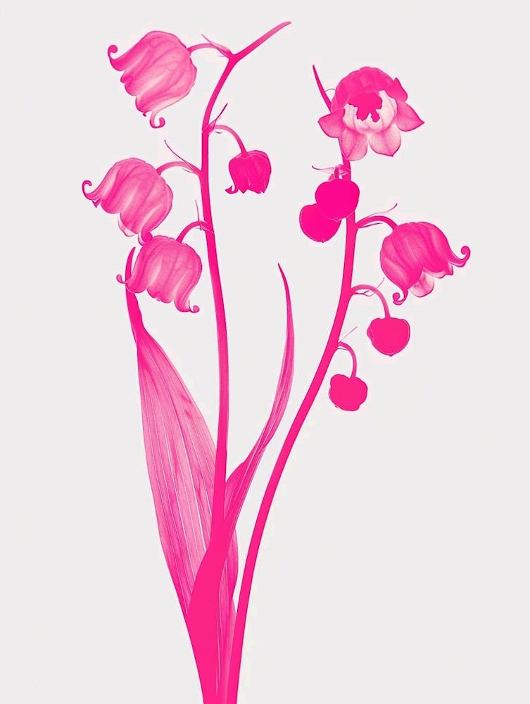 Hot Pink Lily Of The Valley