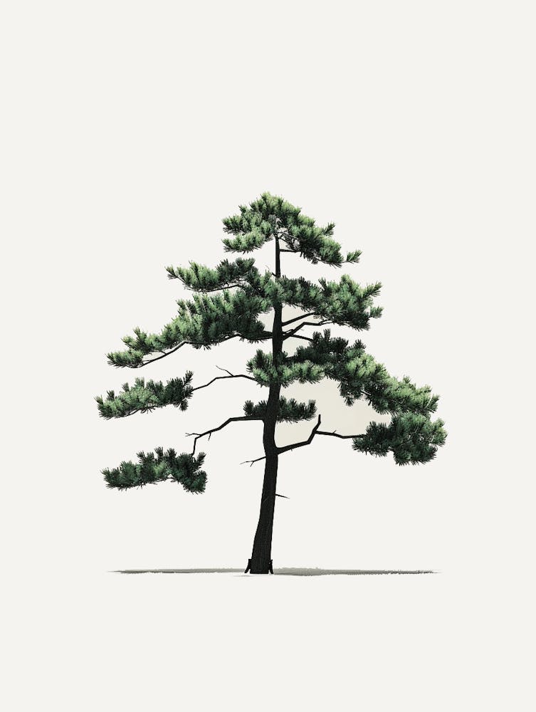 Pine Tree Pixel Illustration 3