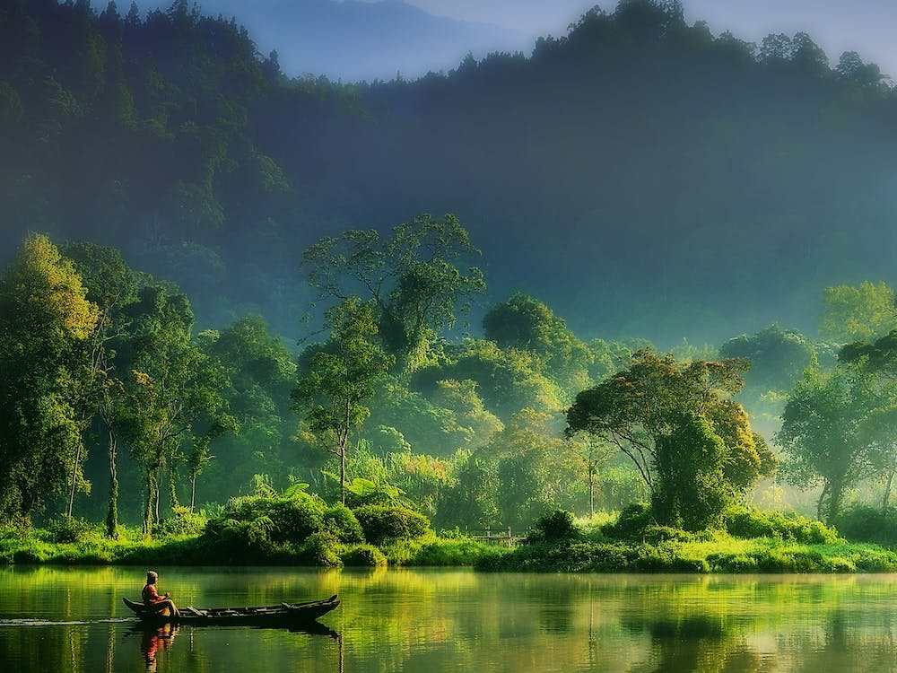 Painting Of Nature