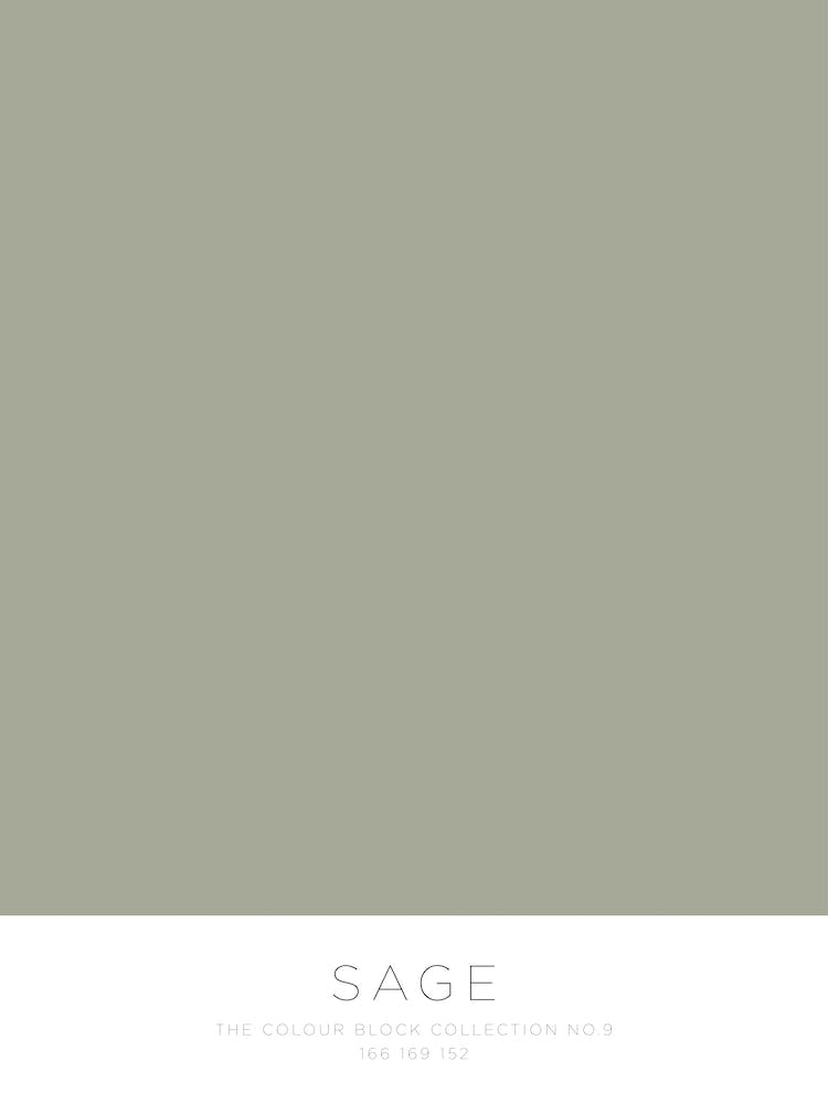 The Colour Block Collection - Sage