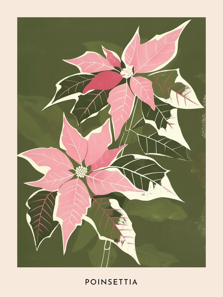 Pink & Green Poinsettia 1 Flower Poster