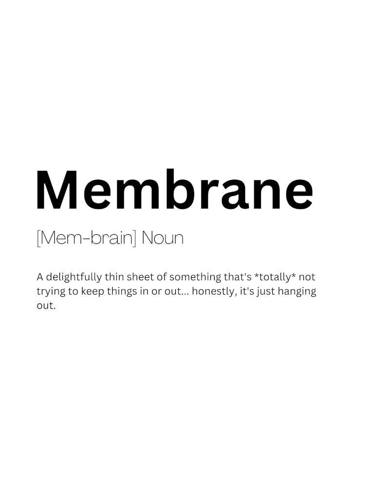 Membrane Definition Meaning