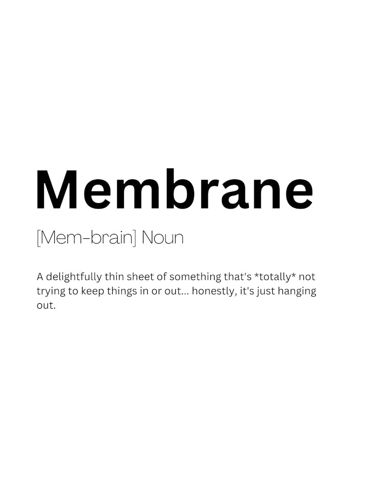 Membrane Definition Meaning
