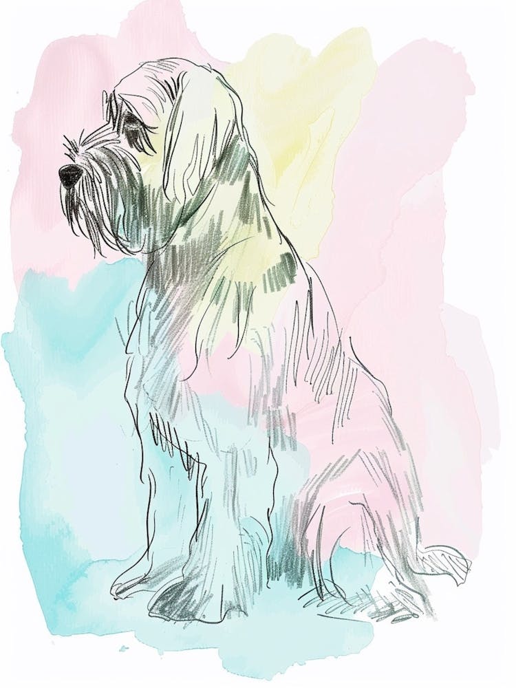 Spinone Pastel Watercolour Dog Illustration
