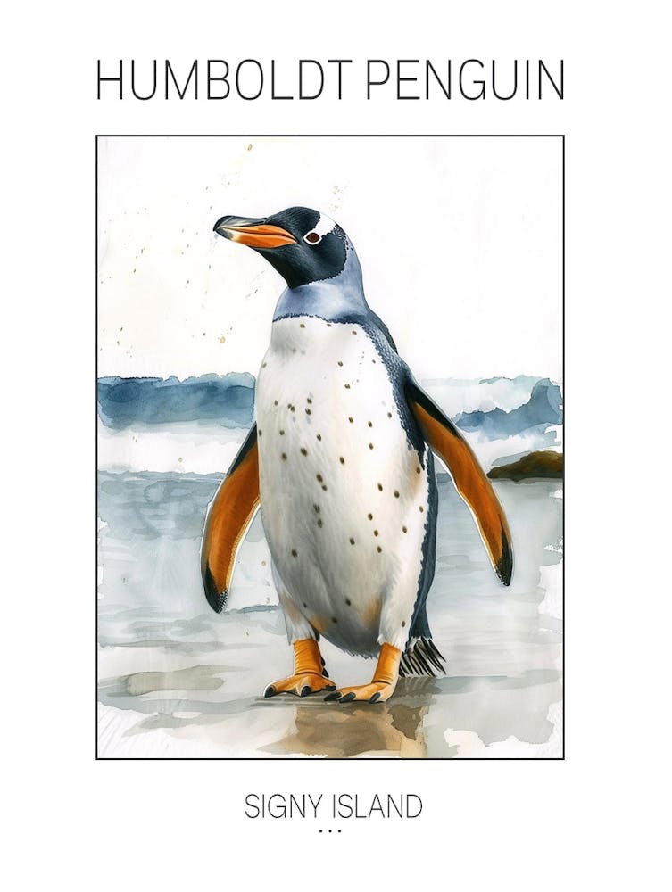 Humboldt Penguin Signy Island Watercolour Painting 1 Poster
