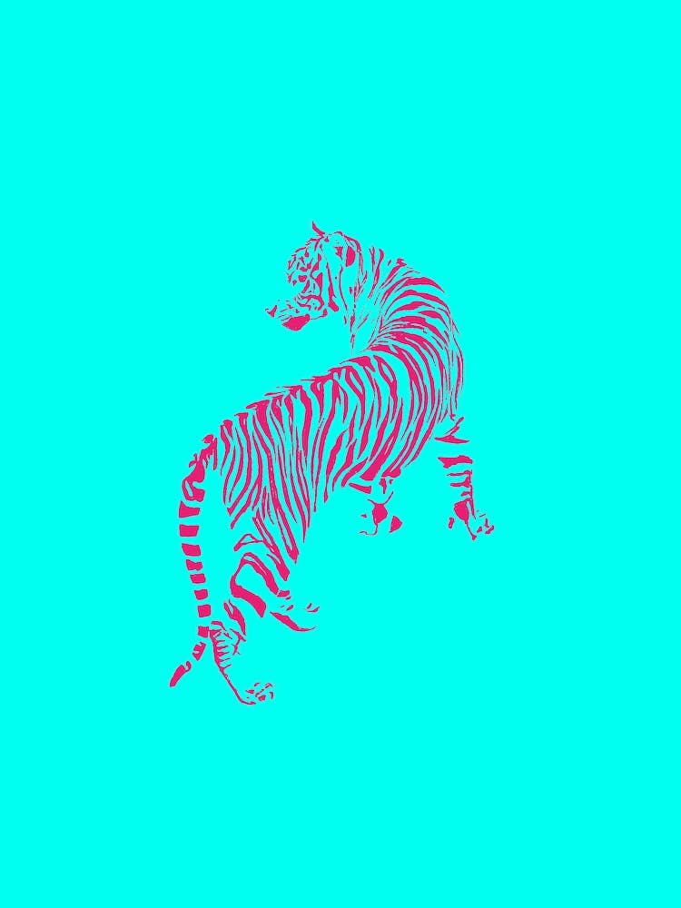 Tropical Tiger