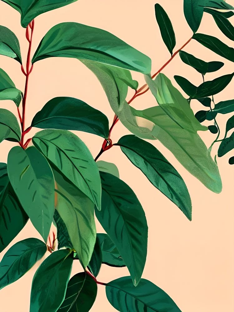 Botanical Illustration