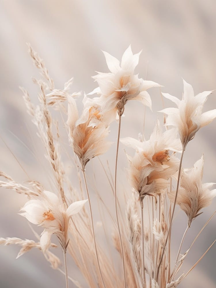 Boho Dried Flowers Kangaroo Paw 3