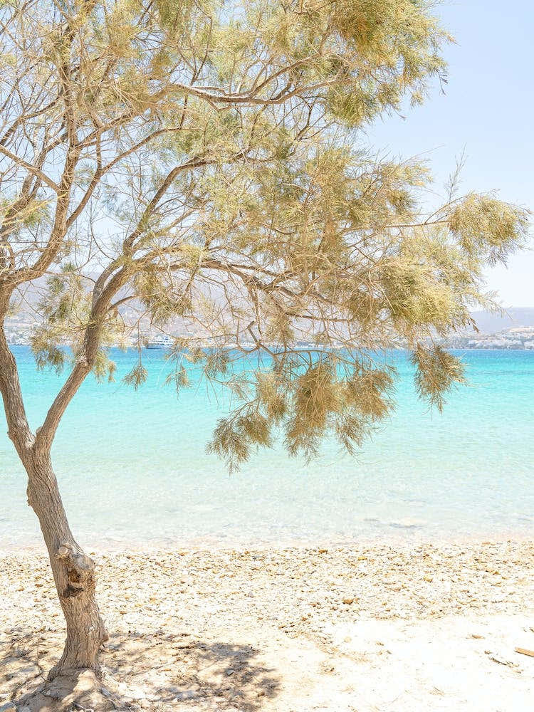 Tropical Greek Beach