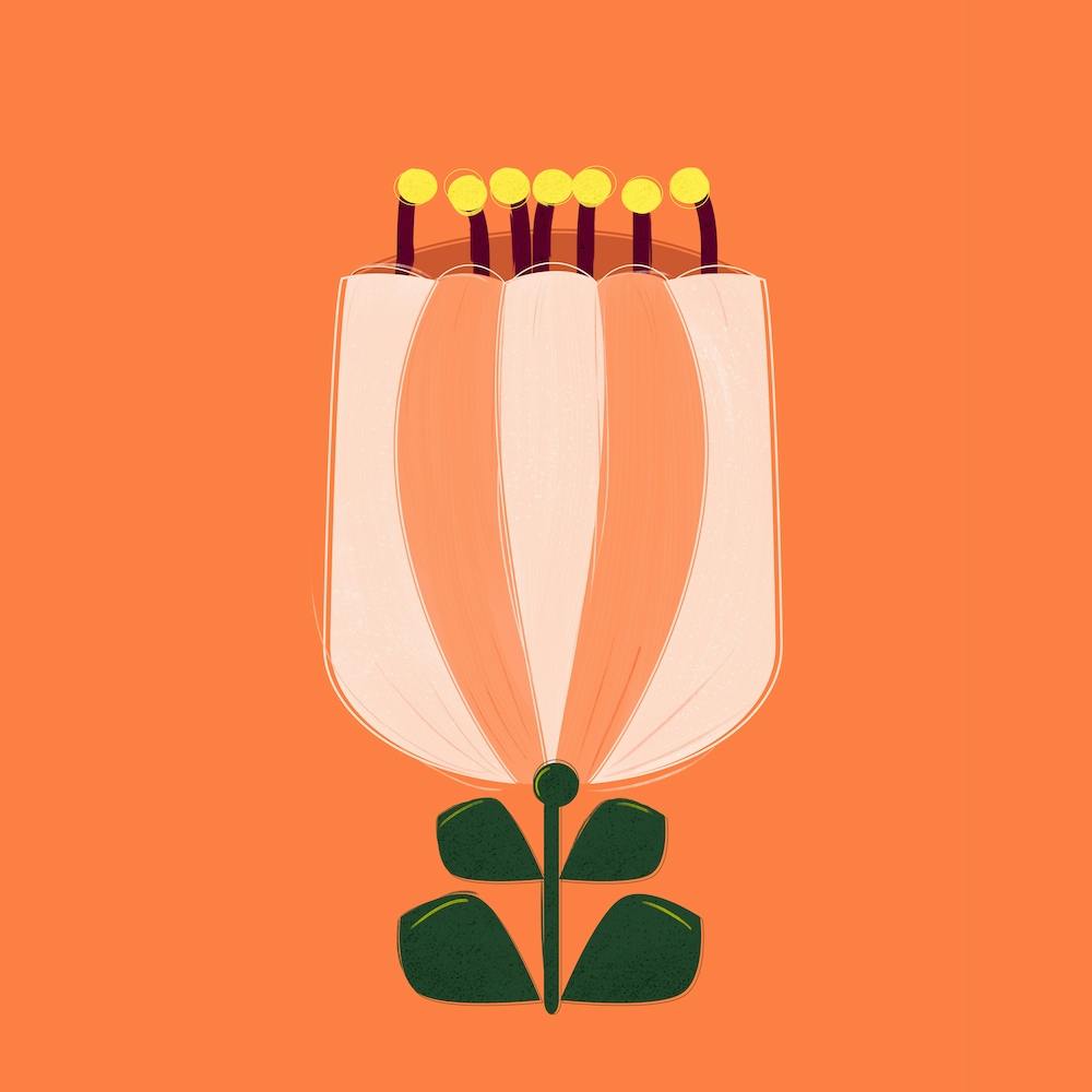 Single Minimal Tulip Square