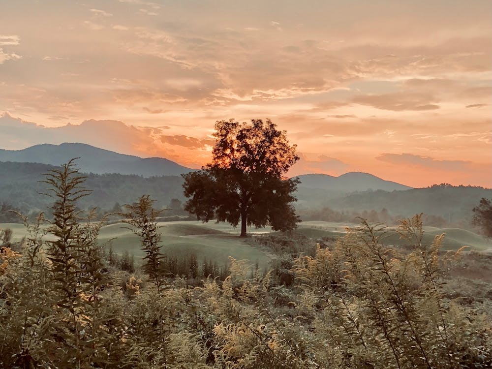 One Tree Hill at Sunset