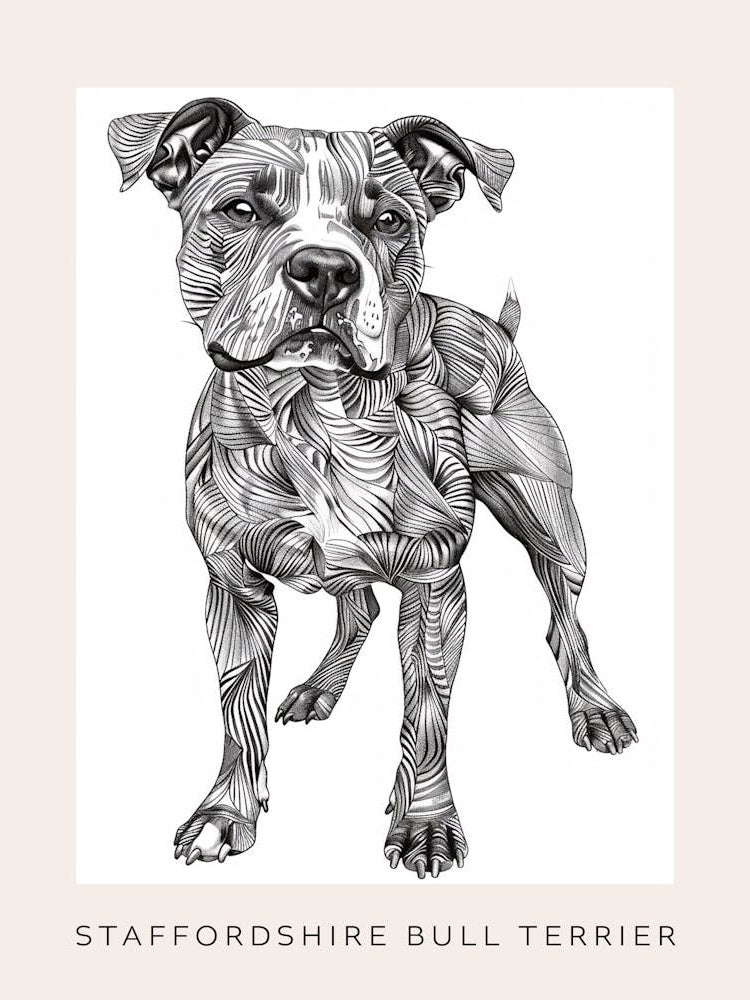 Staffordshire Bull Terrier Dog Line Sketch 3 Poster