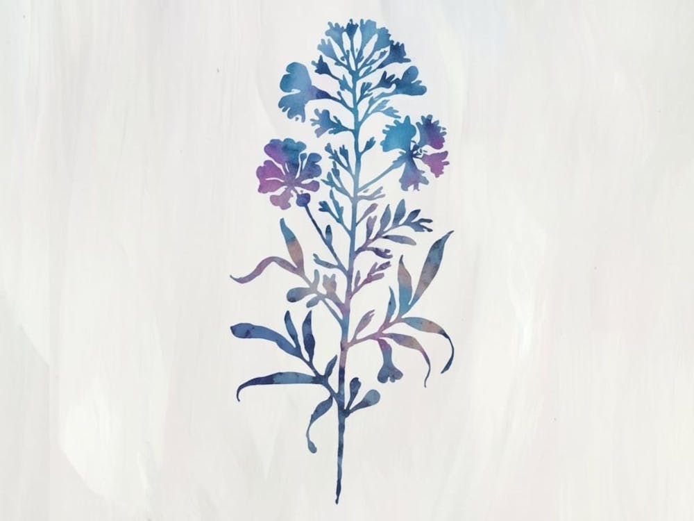 Lily Of The Valley 3