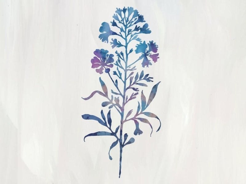 Lily Of The Valley 3
