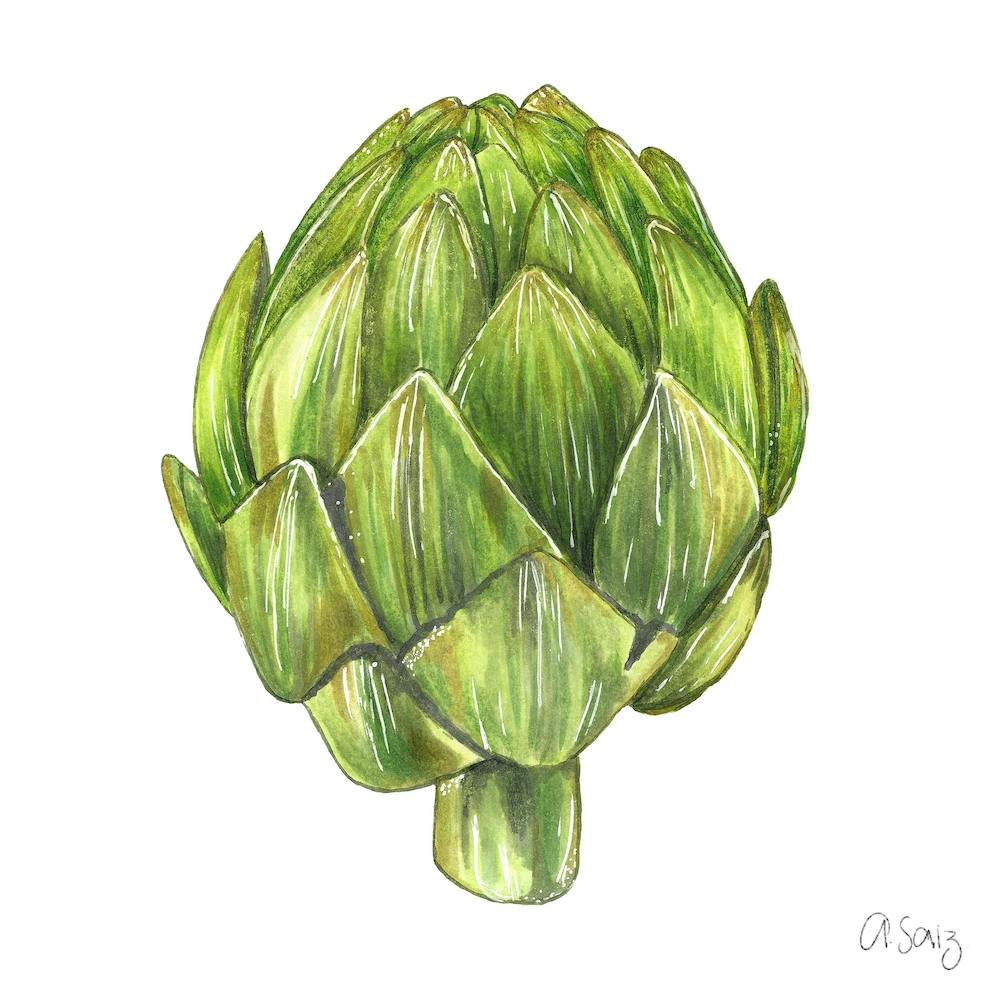 Artichoke