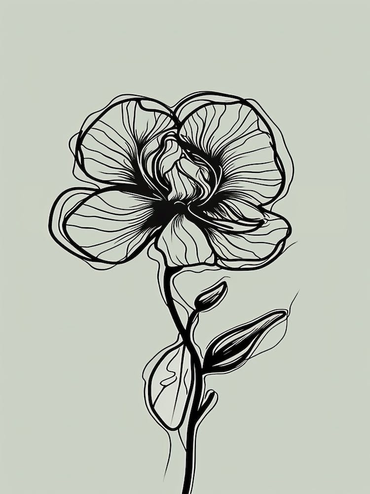 Line Art Orchids Flowers Illustration Neutral 9