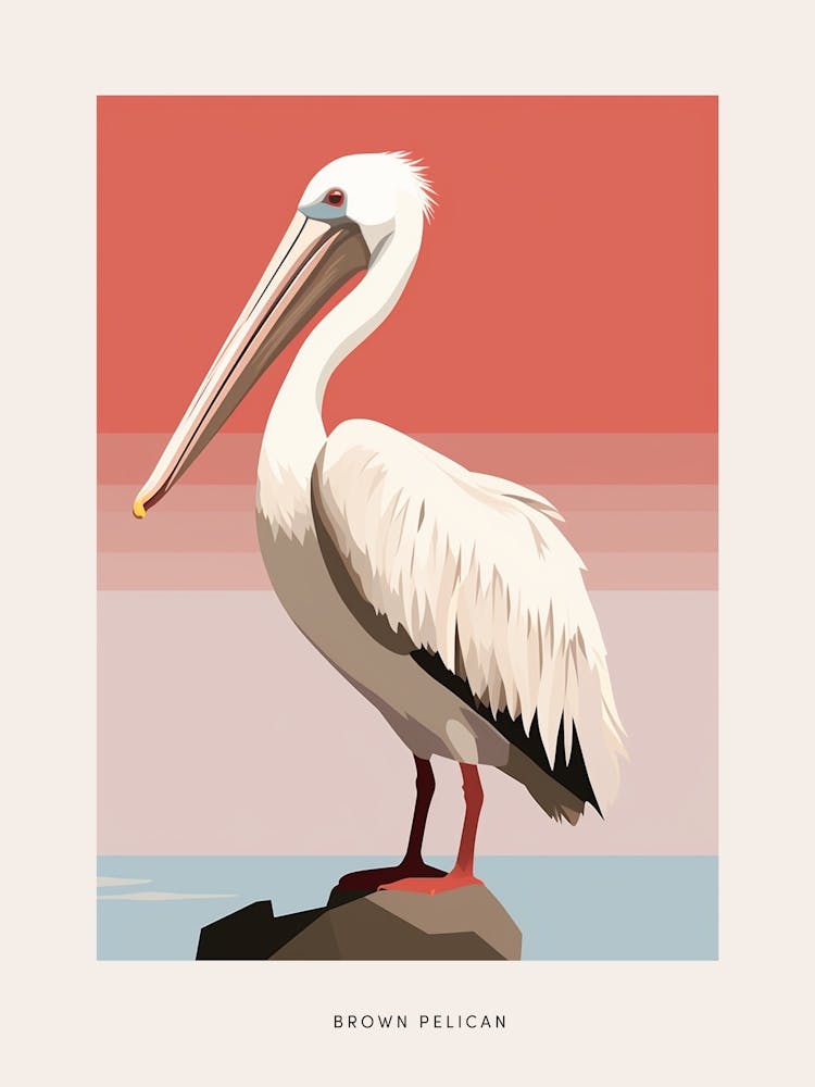 Minimalist Brown Pelican 2 Bird Poster