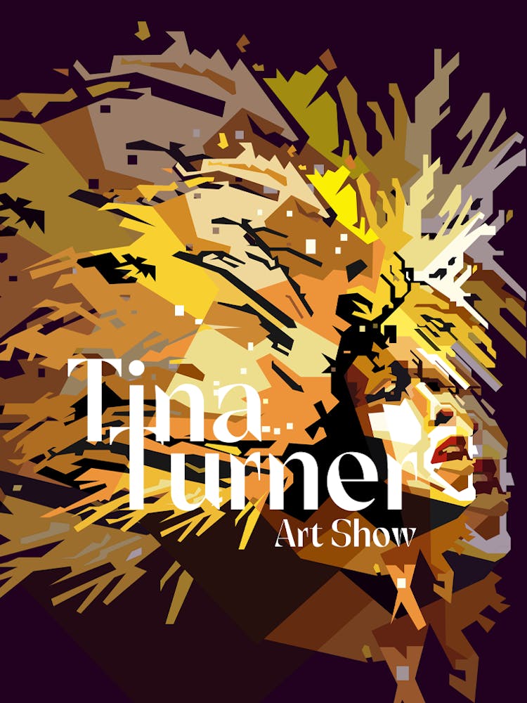 Tina Turner Retro Art Music Show
