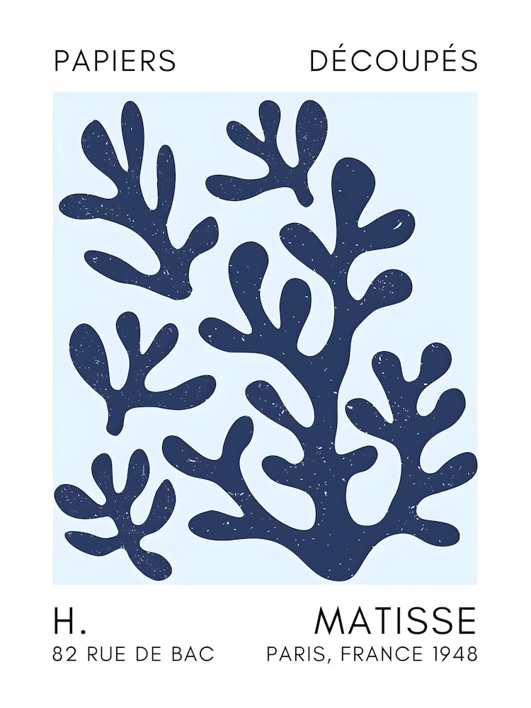 Matisse 25