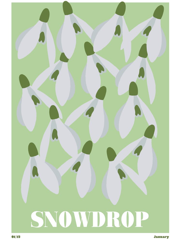 January Birth Month Flower