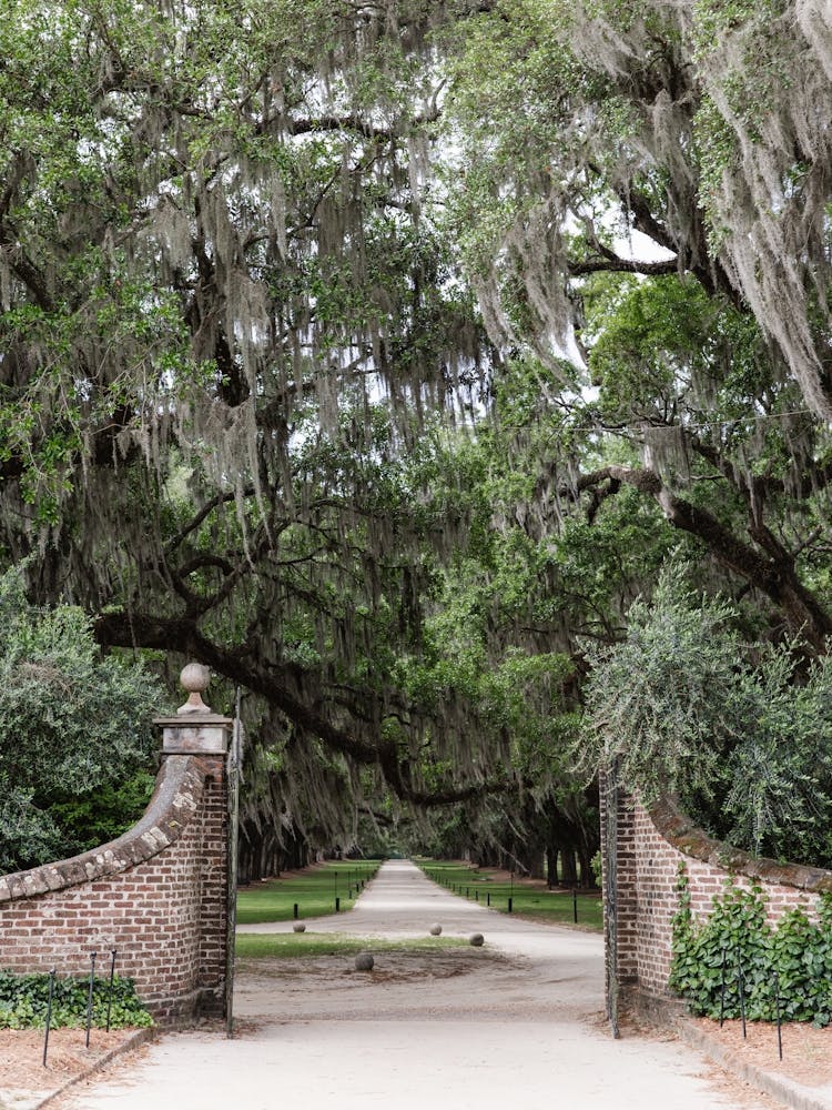 Charleston, South Carolina
