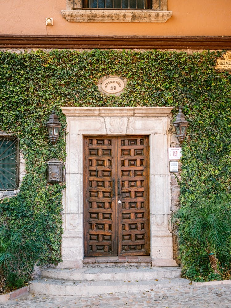 The Botanical Door San Miguel De Allende