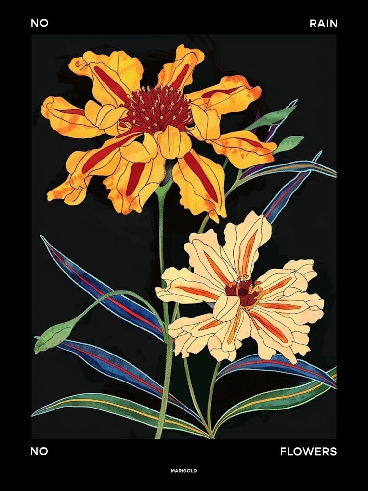 No Rain No Flowers Poster Marigold 1