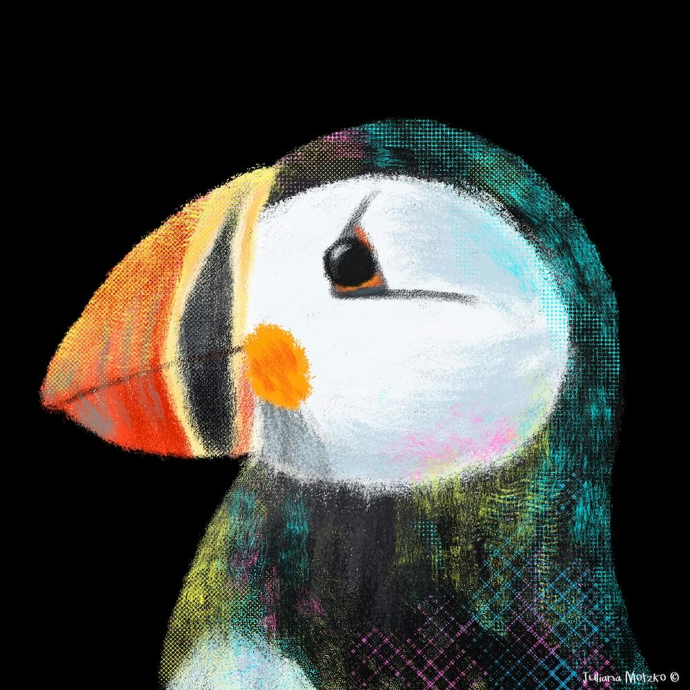 Puffin Portrait