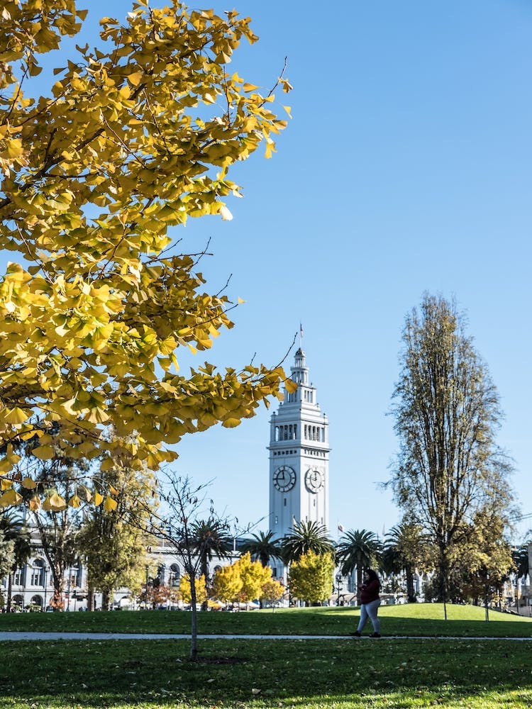 Fall In San Francisco