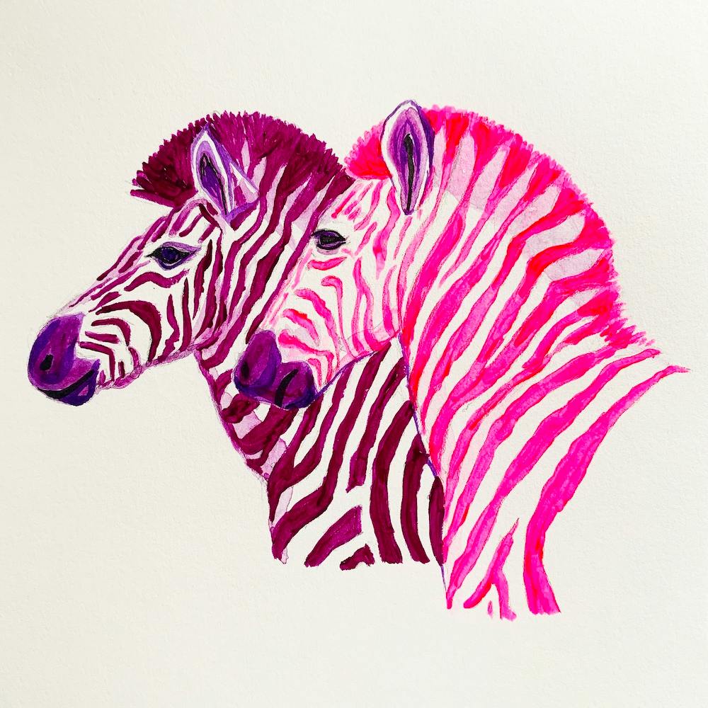 Zebras Square