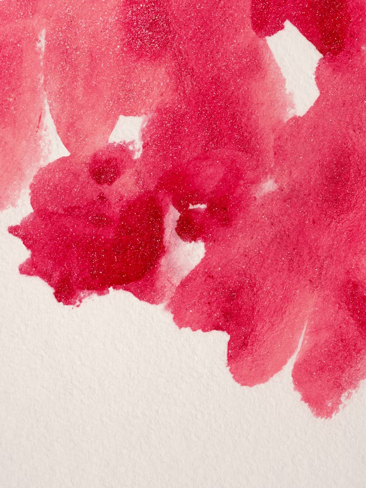 Red Roses 1