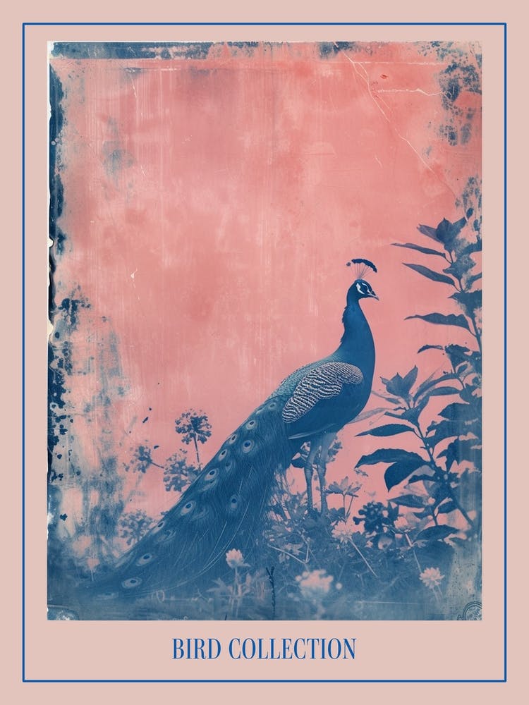 Peacock In The Meadow Cyanotype Inspired 4 Poster