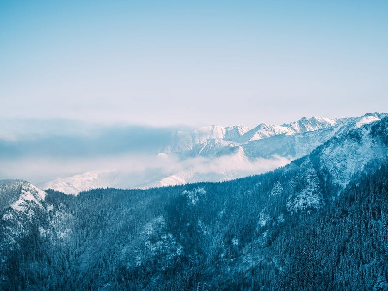 Blue Winter Mountains
