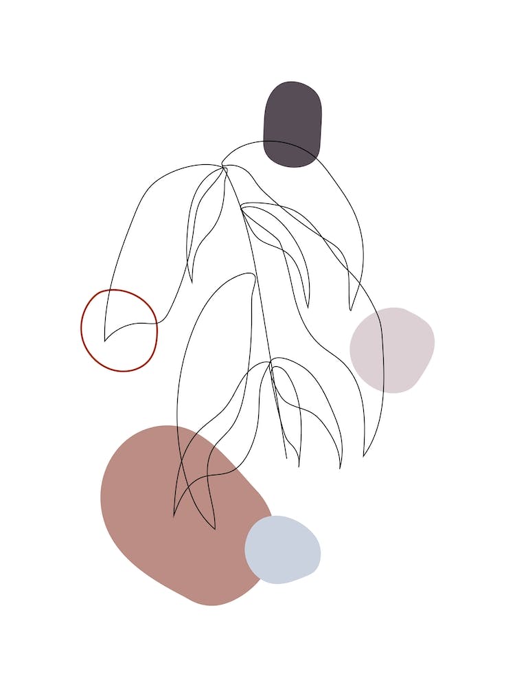 Talking About Botany Iii