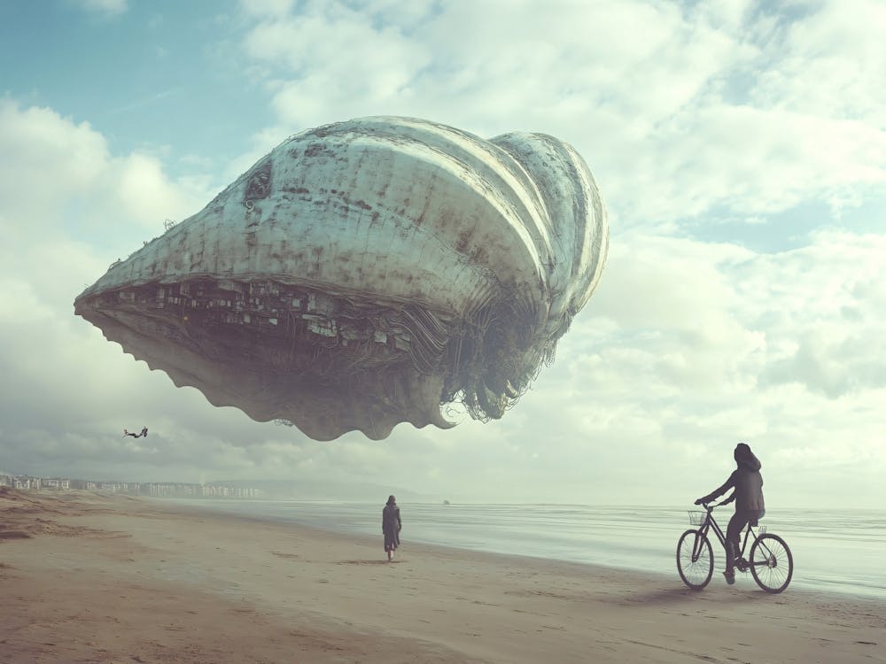 Sea Shell On The Beach